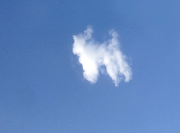 Foto awan berbentuk anjing Snowy
