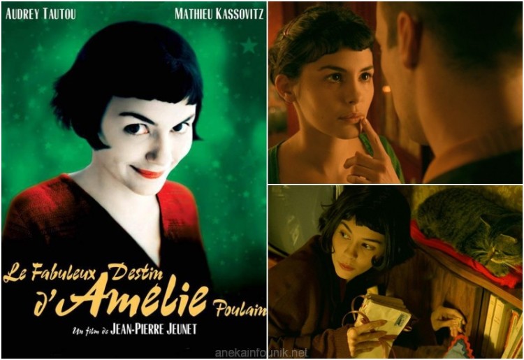 Sinopsis Film Perancis Amélie (2001)