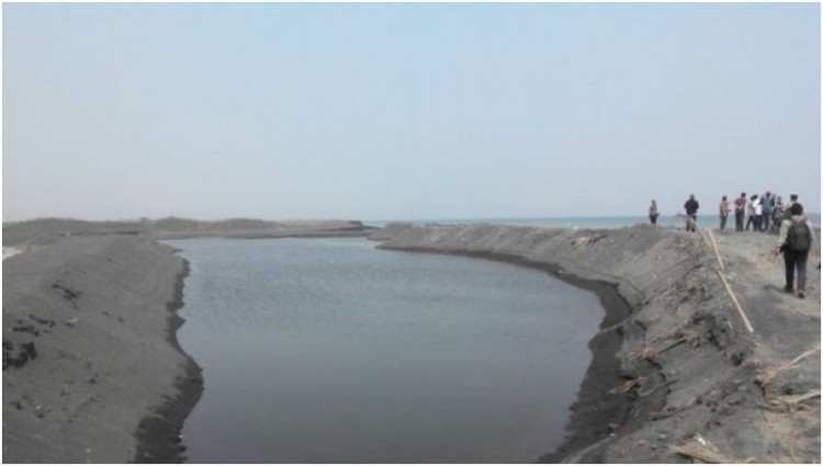 Tambang pasir ilegal merusak lingkungan di pantai Watu Pecak Lumajang